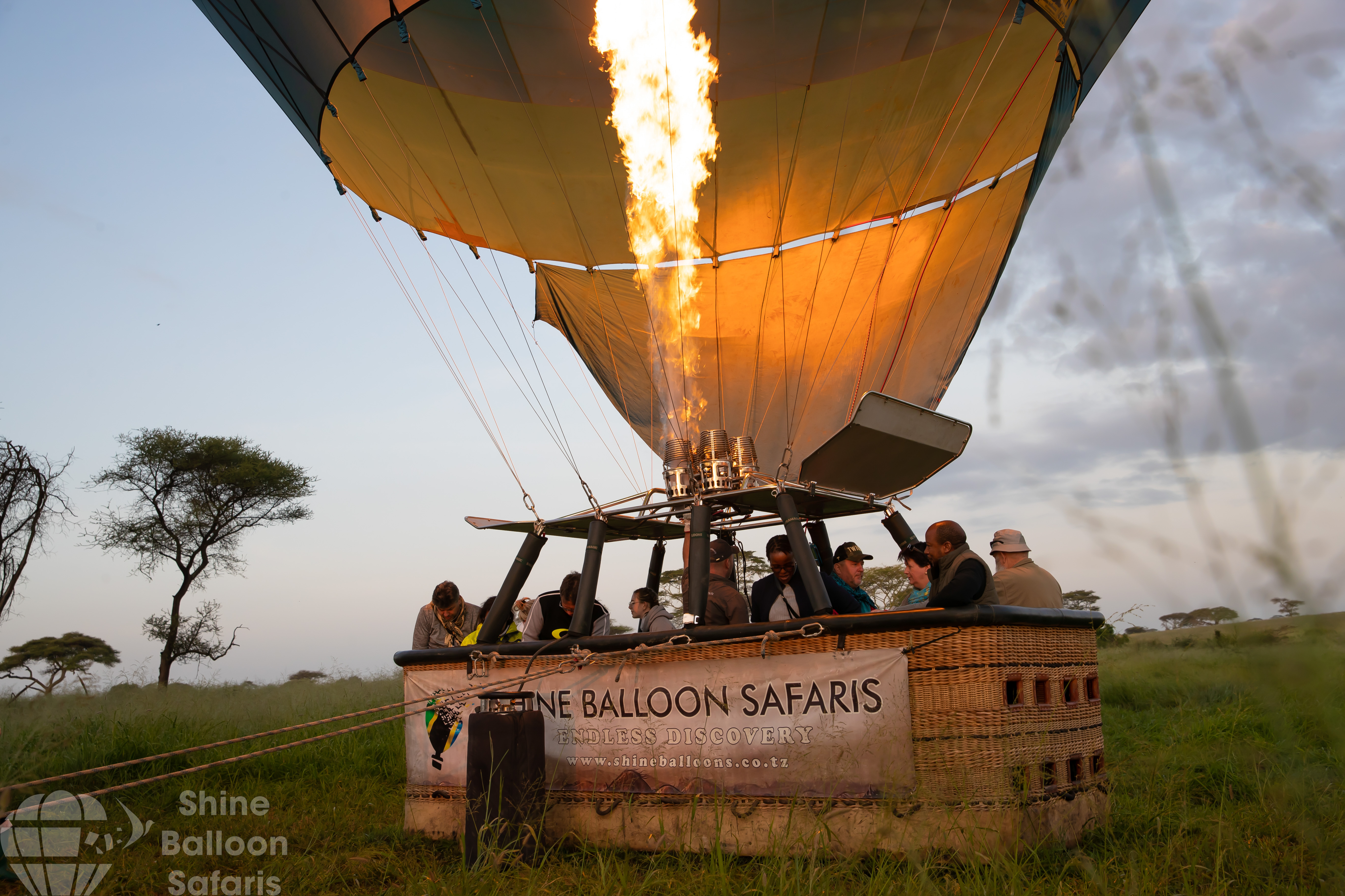 Safari Experience